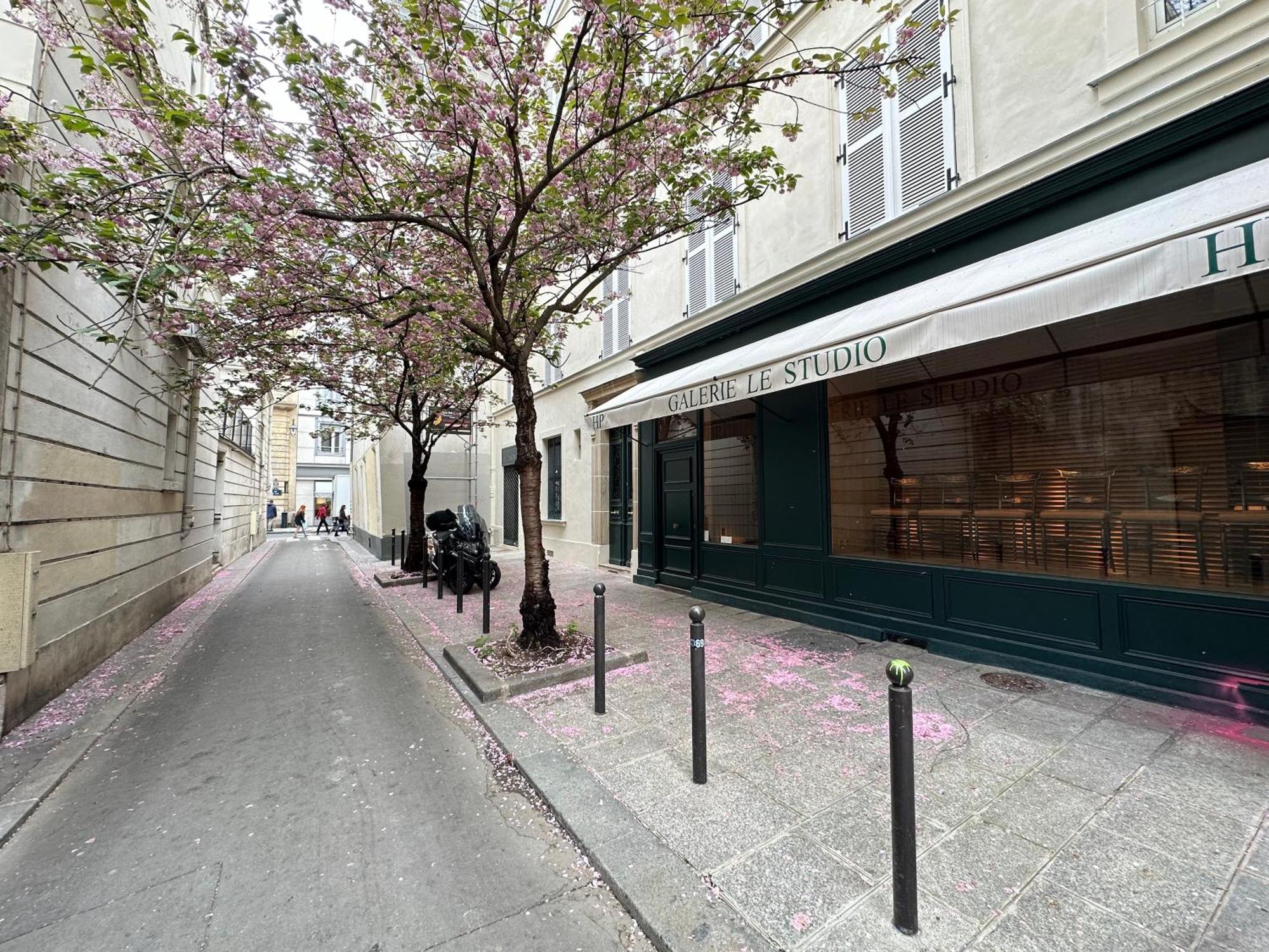 Appartement Spacious Studio In Saint-germain-des-pres *